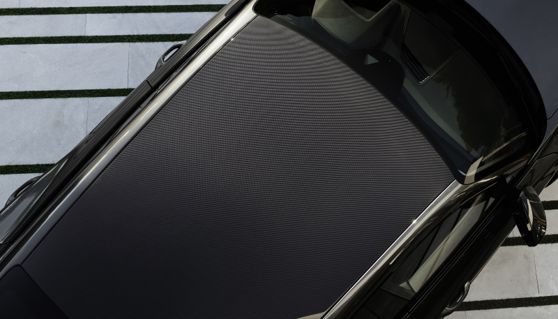 Carbon roof
